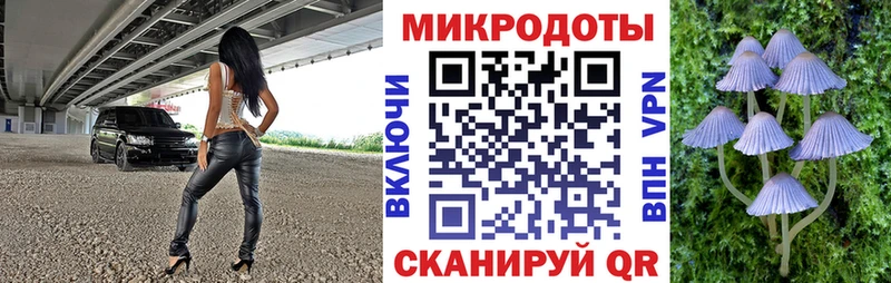 Галлюциногенные грибы Psilocybe  Канаш 
